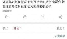 圈内爆料成果,揭秘最新成果背后的故事