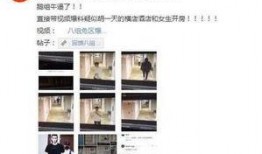 网友爆料景区日料视频在线观看,景区日料视频，揭秘日料背后的真相